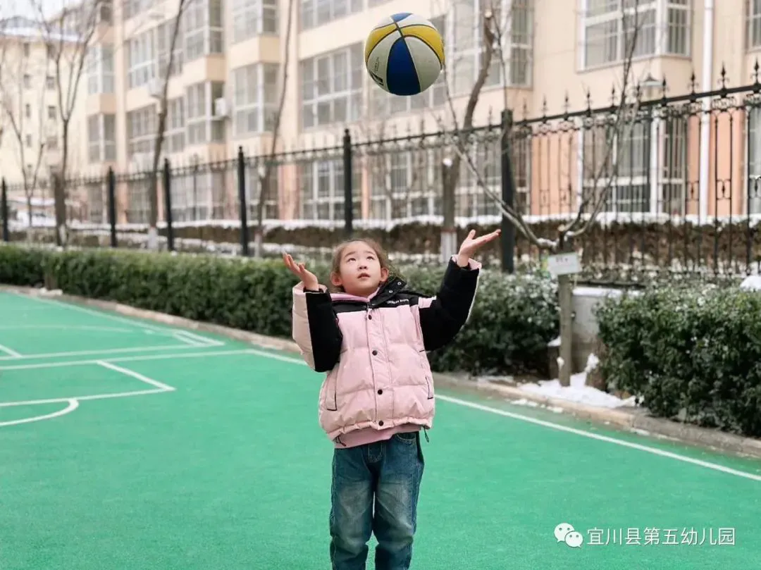 篮球训练视频教学软件下载大全安卓_1